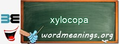 WordMeaning blackboard for xylocopa